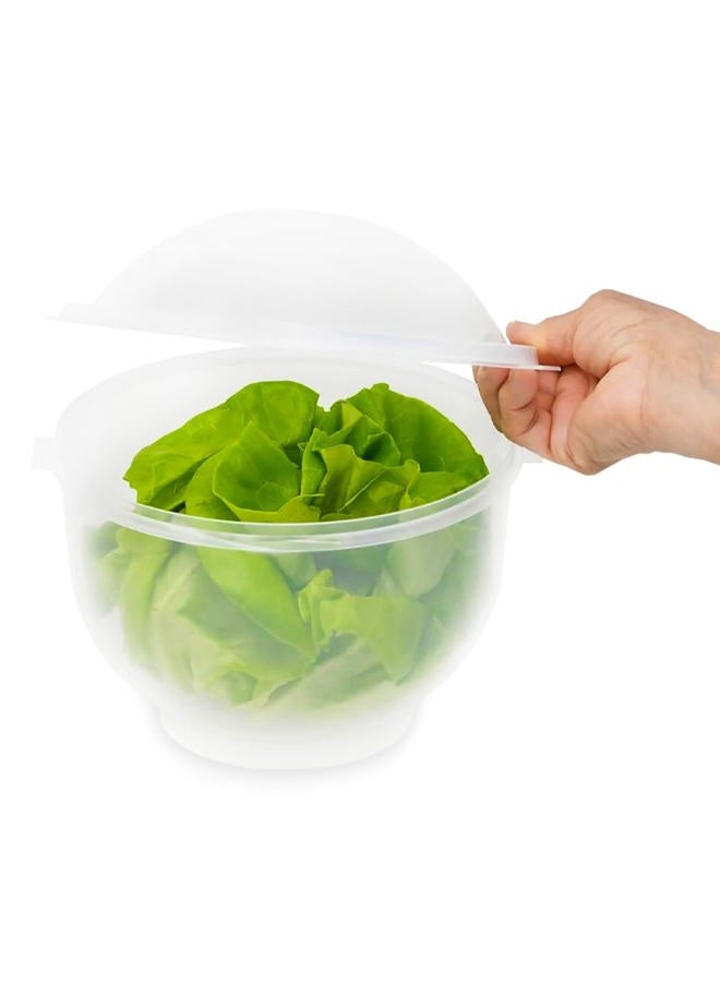 Home-X Lettuce Keeper - BPA-Free Lettuce Keeper for Refrigerator to Keep Salads and Vegetables Fresh - 7" x 8" Lettuce Crisper with Drainage Reservoir - Clear See-Through Vegetable and Fruit Crisper - Image 1