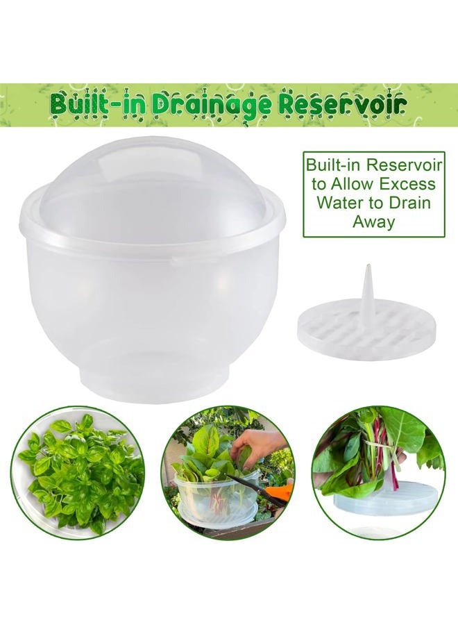 Home-X Lettuce Keeper - BPA-Free Lettuce Keeper for Refrigerator to Keep Salads and Vegetables Fresh - 7" x 8" Lettuce Crisper with Drainage Reservoir - Clear See-Through Vegetable and Fruit Crisper - Image 5