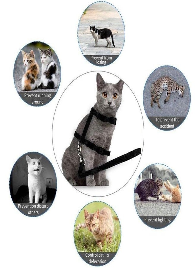 BohoBark Cat Harness and Leash Adjustable Nylon Halter Harness Kitten Nylon Strap Belt Safety Rope Leads Black - Image 5