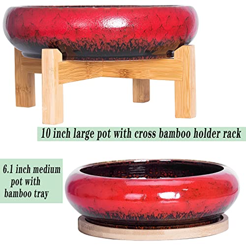 ARTKETTY 7.3/10 Inch Succulent Pots with Drainage Trays Large Succulent Planter with Stand Round Bonsai Pots Ceramic Flower Planter Pot for Indoor Cactus Plants - Image 2
