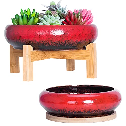 ARTKETTY 7.3/10 Inch Succulent Pots with Drainage Trays Large Succulent Planter with Stand Round Bonsai Pots Ceramic Flower Planter Pot for Indoor Cactus Plants - Image 1