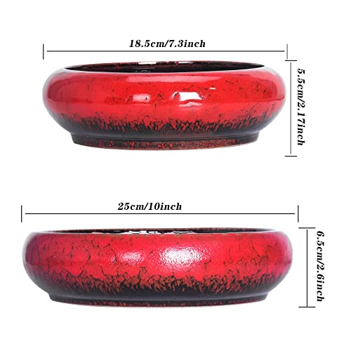 ARTKETTY 7.3/10 Inch Succulent Pots with Drainage Trays Large Succulent Planter with Stand Round Bonsai Pots Ceramic Flower Planter Pot for Indoor Cactus Plants - Image 5
