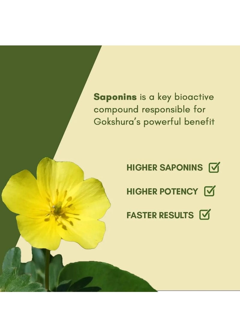 Rasayanam Tribulas Gokhru60 1000Mg  Tablets 60 - Image 3