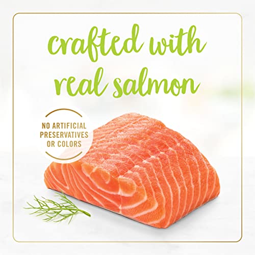 Fancy Feast Purina Fancy Feast Grilled Wet Cat Food Salmon Feast in Wet Cat Food Gravy - (Pack of 24) 3 oz. Cans - Image 5