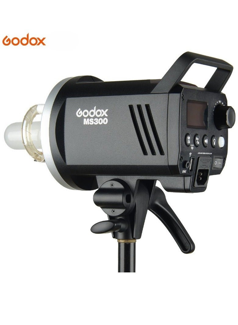 Godox MS300W Portable Studio LED Video Light - Image 2
