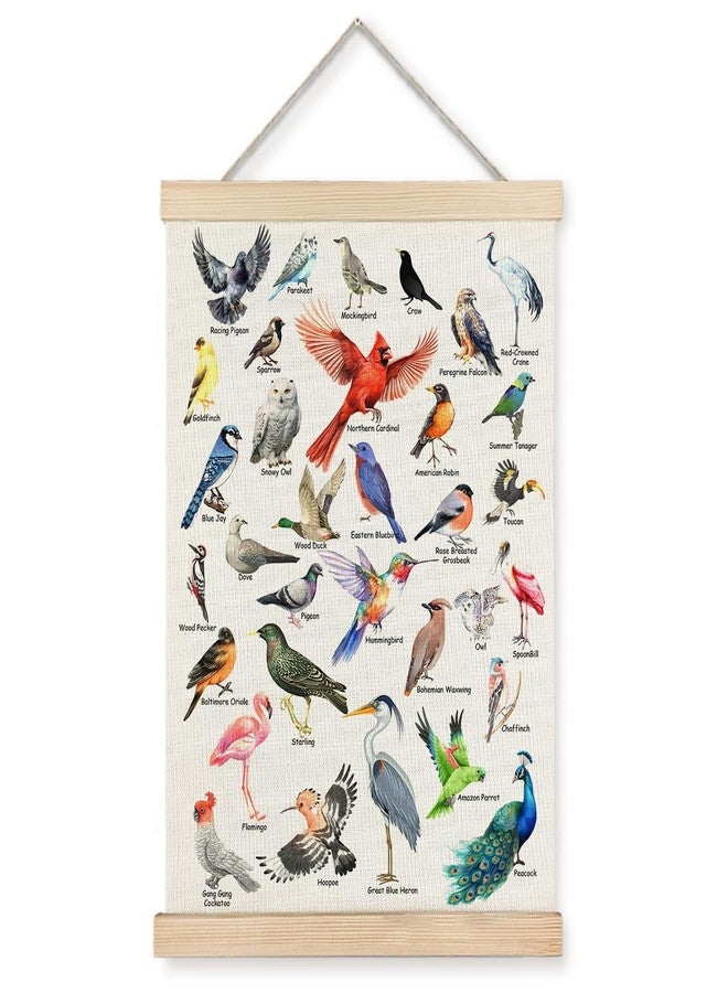 JINYO Bird Wall Decor, Bird Wall Art Poster, Bird Pictures Wall Decor, Bird Decor for Home, Gifts for Bird Lovers, Bird Prints Wall Art for Home Classroom Kids Room, 12x16 Inches - Image 1
