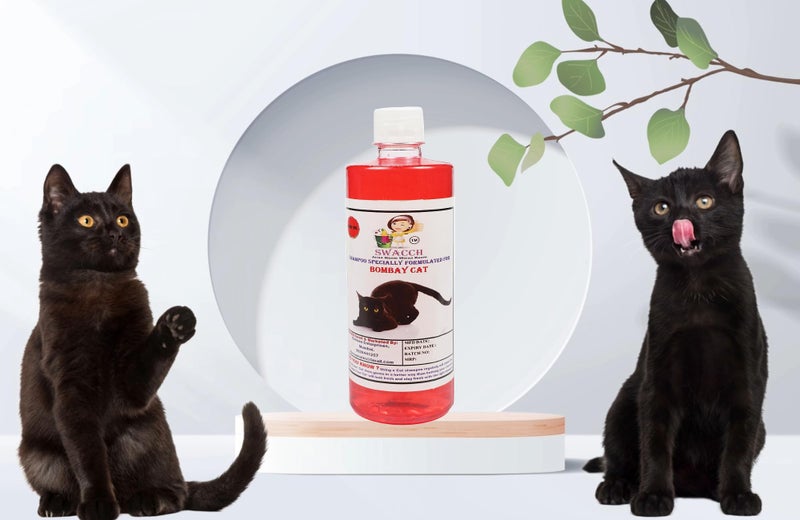 Swacch Shampoo Specially Formulated for Bombay CAT (500ml) Jasmine - Image 1