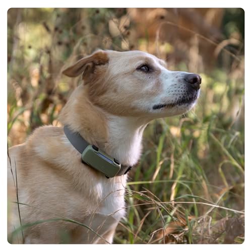 Tractive GPS Dog 6 Tracker Cover - Olive - Image 3