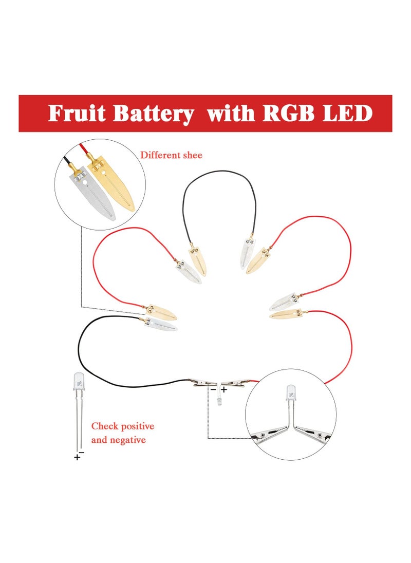 SYOSI - 4 Sets Fruit Battery Kit, Lemon-Potato Battery Science Experiment Set Physics Teaching Tool Educational Toy Clock Hands-On Science Toy STEM Exploration Activity Bioenergy Experiment Kit for Students - Image 1