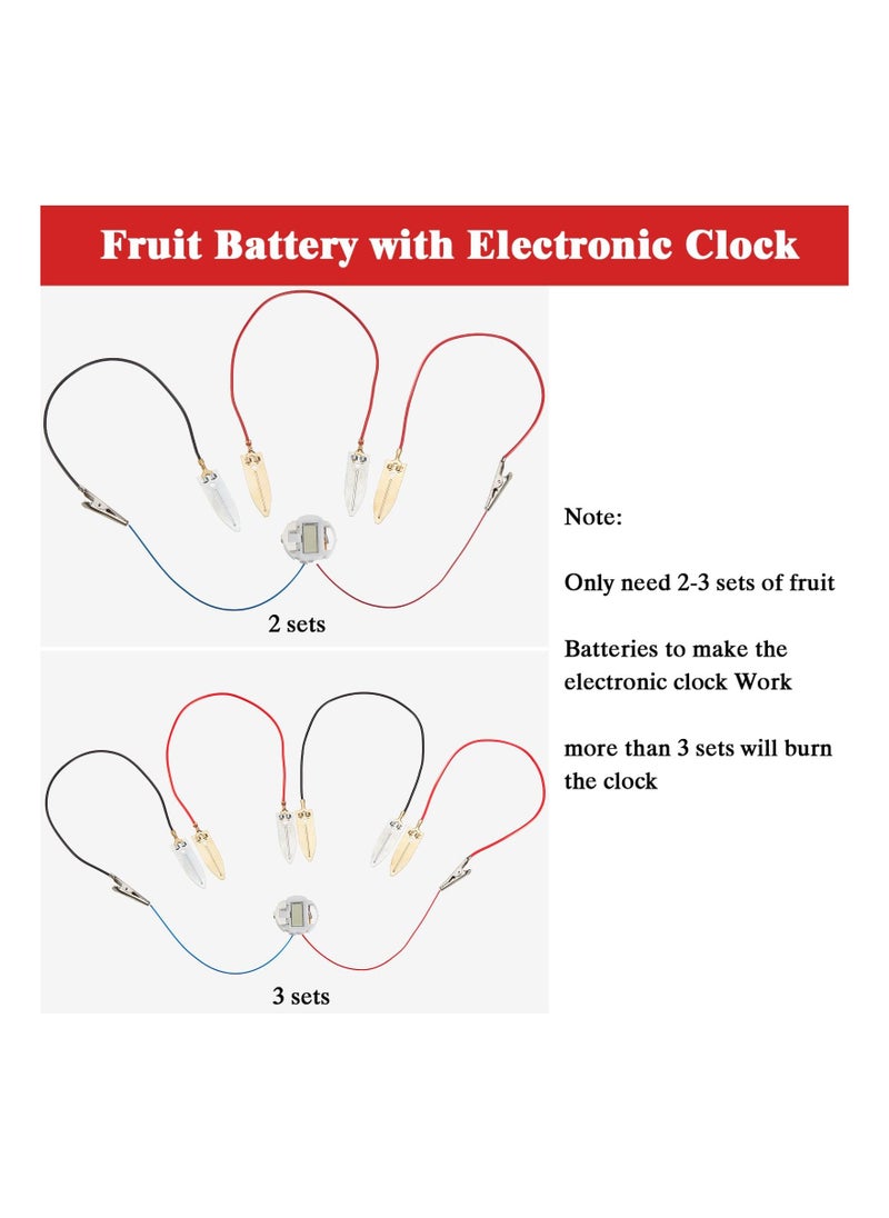 SYOSI - 4 Sets Fruit Battery Kit, Lemon-Potato Battery Science Experiment Set Physics Teaching Tool Educational Toy Clock Hands-On Science Toy STEM Exploration Activity Bioenergy Experiment Kit for Students - Image 1
