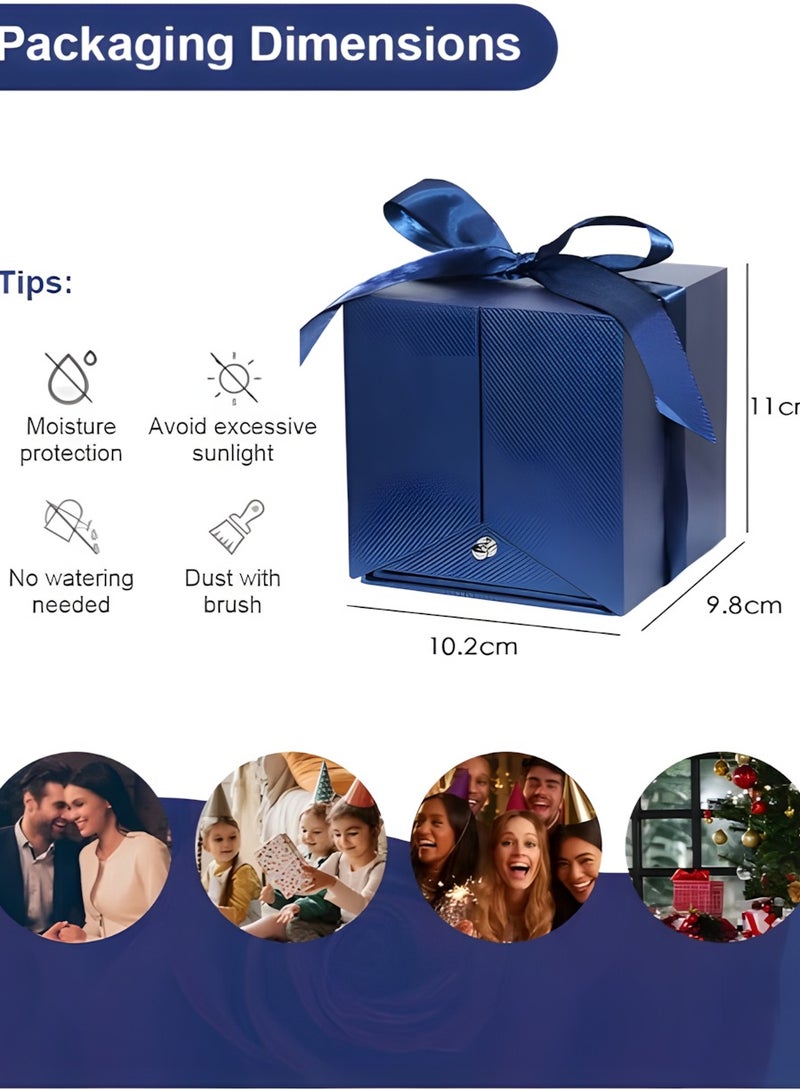 Vergali Preserved Rose Flowers with Necklace -in Jewelry Box for Valentine's Day Forever Flowers Eternal Rose for Birthday Anniversary Gift,Creative Gift Box,Romantic Gifts for Her - Image 5