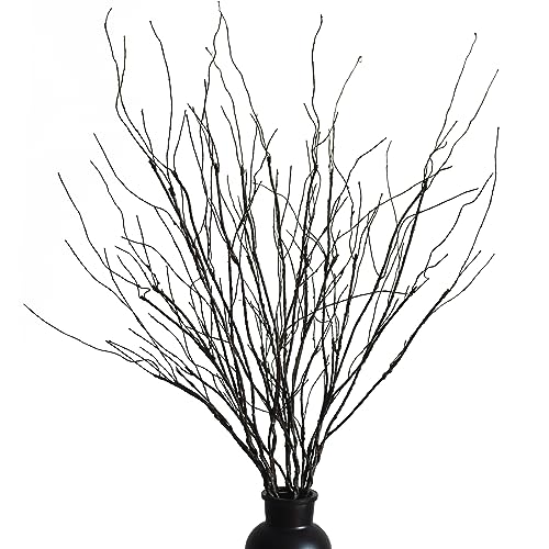 MISSWARM 10 PCS Artificial Twigs Curly Willow Branches, 30.7 Inches Lifelike Bendable Artificial Branch Flower Dried Stems for Home Decoration - Image 1