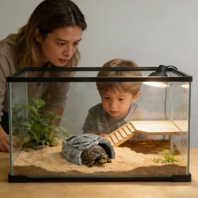 Leopard Gecko Cave Reptile Shelter with Basking Spot 11x12 5x6cm - Image 5