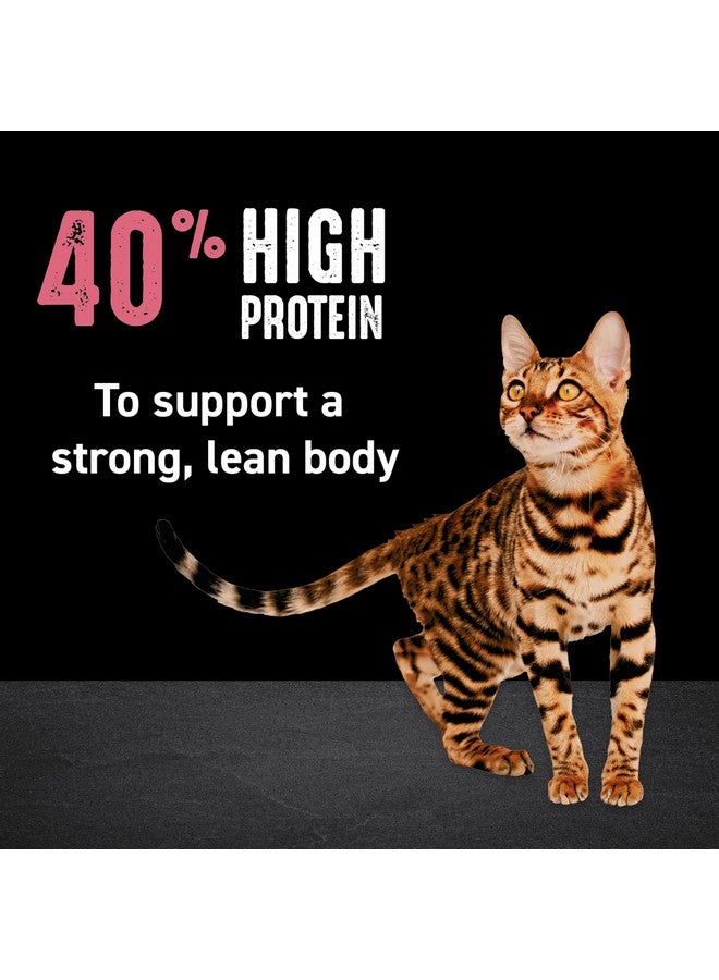 كريف طعام القطط CRAVE الجاف الطبيعي عالي البروتين، خالي من الحبوب، للقطط البالغة، يحتوي على بروتين من الدجاج والسلمون، كيس 2 رطل - Image 3