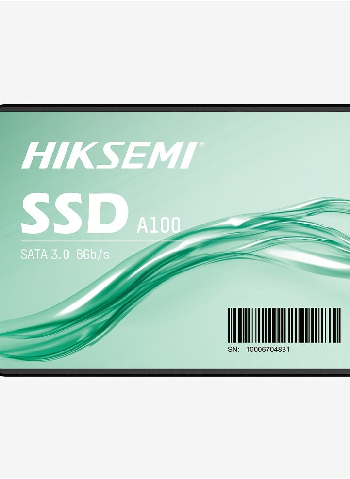 HS-SSD-WAVE(S) 256G