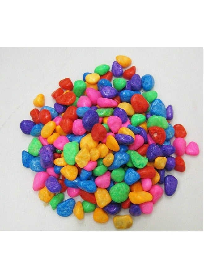 المزارع المبدع حجر زخرفي متعدد الألوان 2 كجم لتزيين الحدائق/المروج/أحواض السمك حديقة|أحواض السمك|ديكور|نباتات داخلية|تراريوم وعبوة متعددة الأغراض - Image 1