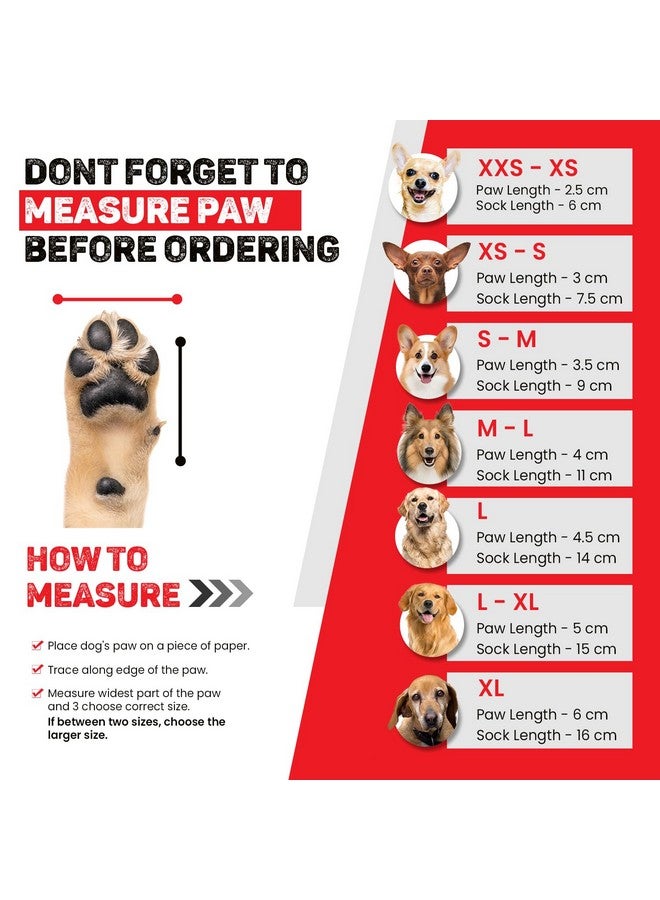 تريكسي جوارب تريكسي غير قابلة للانزلاق للكلاب، واقية للمخالب، تحمي من الجروح الصغيرة والأرضيات الباردة والأثاث المترب، باللون الرمادي (قد يختلف اللون)، قطعتان (XXS-XS) - Image 2