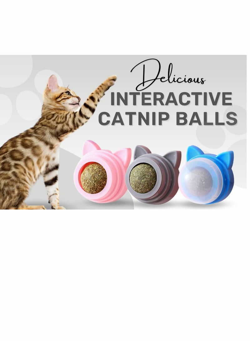 KASTWAVE Catnip Ball, Pet Catnip Toy, Edible Cat Licking Toy, Cat Chew Toy, Teeth Cleaning Cat Bite Toy, Rotatable Indoor Cat Toy Cat Wall Decoration - Image 2