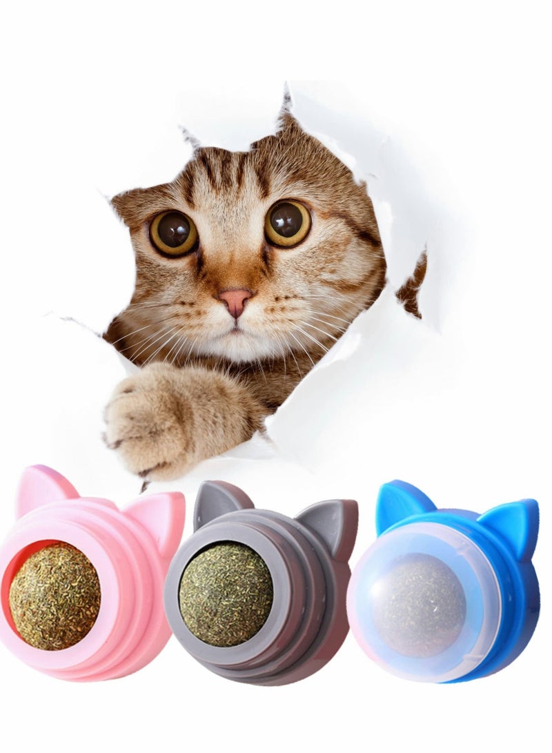 KASTWAVE Catnip Ball, Pet Catnip Toy, Edible Cat Licking Toy, Cat Chew Toy, Teeth Cleaning Cat Bite Toy, Rotatable Indoor Cat Toy Cat Wall Decoration - Image 1