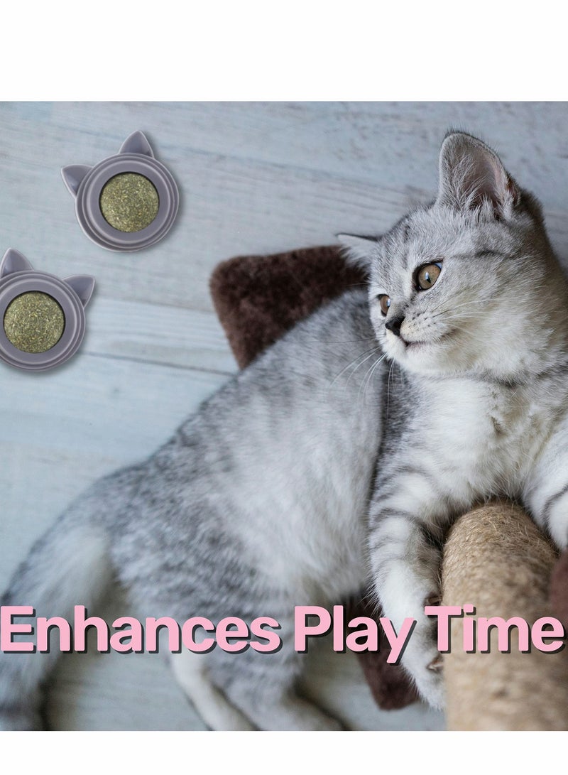 KASTWAVE Catnip Ball, Pet Catnip Toy, Edible Cat Licking Toy, Cat Chew Toy, Teeth Cleaning Cat Bite Toy, Rotatable Indoor Cat Toy Cat Wall Decoration - Image 5