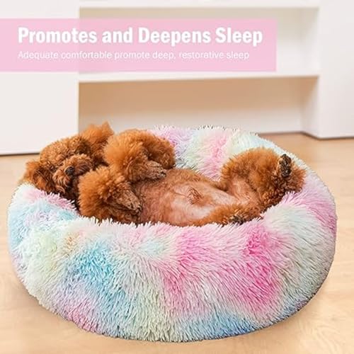 ZEXSAZONE Winter Round Donut Pet Bed for Cats, Puppies, and Dogs, Cozy and Plush, Raised Bedside Support, Both Sides Use Like 2-in-1, Washable, Sizes for Small, Medium, and Large Pets cat Bed Rainbow - Image 2