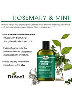 Rosemary & Mint Biotin 4-Pc Box Set: Shampoo 12Oz, Conditioner 12Oz, Hair Mask 12Oz, Hair Oil 2.5Oz - pzsku/Z6662B9328AF0BD30FB0DZ/45/_/1733730264/b6127ab3-c6cb-4b9d-b9e0-d2fbbae79b29