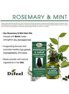 Rosemary & Mint Biotin 4-Pc Box Set: Shampoo 12Oz, Conditioner 12Oz, Hair Mask 12Oz, Hair Oil 2.5Oz - pzsku/Z6662B9328AF0BD30FB0DZ/45/_/1733730322/fcf80c9e-8db3-49ba-9698-09ffdf4e0c7c