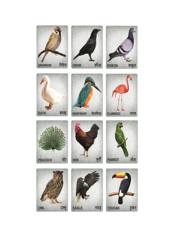 Craftick® Wooden Birds Flashcards for Kids - Babies & Toddlers Age 1-6 | Best Birthda Return Gift | Educational Toy for Early Learning at Home - Image 1