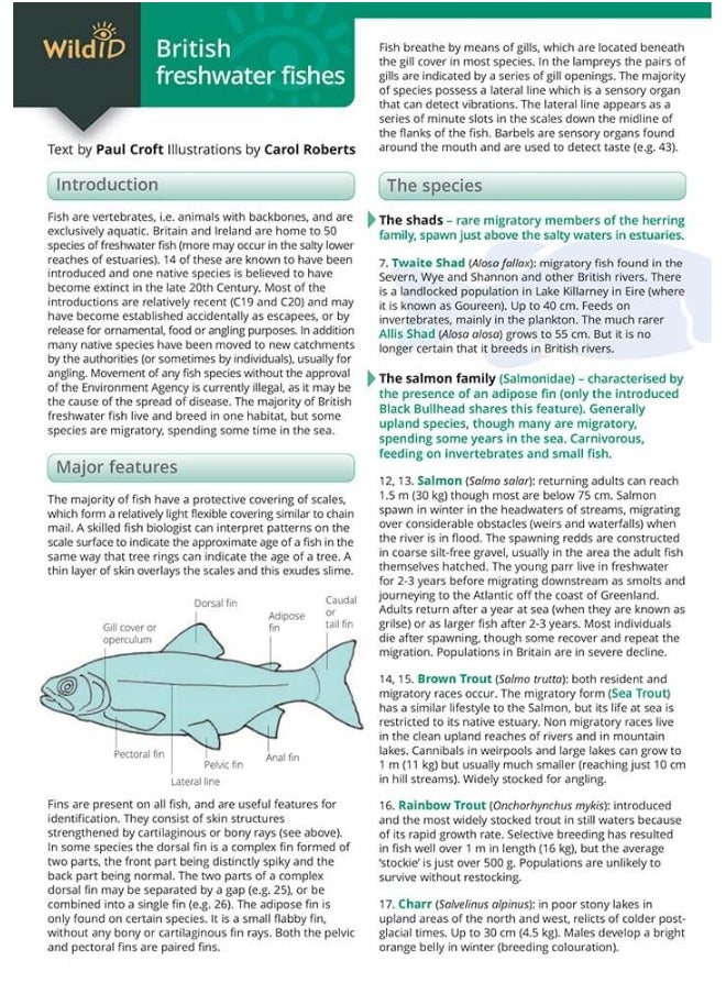null - Guide to British Freshwater Fishes - Image 1