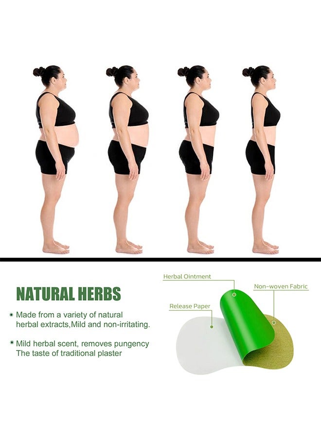 إيلهو 12 قطع الطبيعية الشيح الجسم تطهير منصات القدم تقليل التعب زيادة التمثيل الغذائي تحسين الدورة الدموية - Image 5