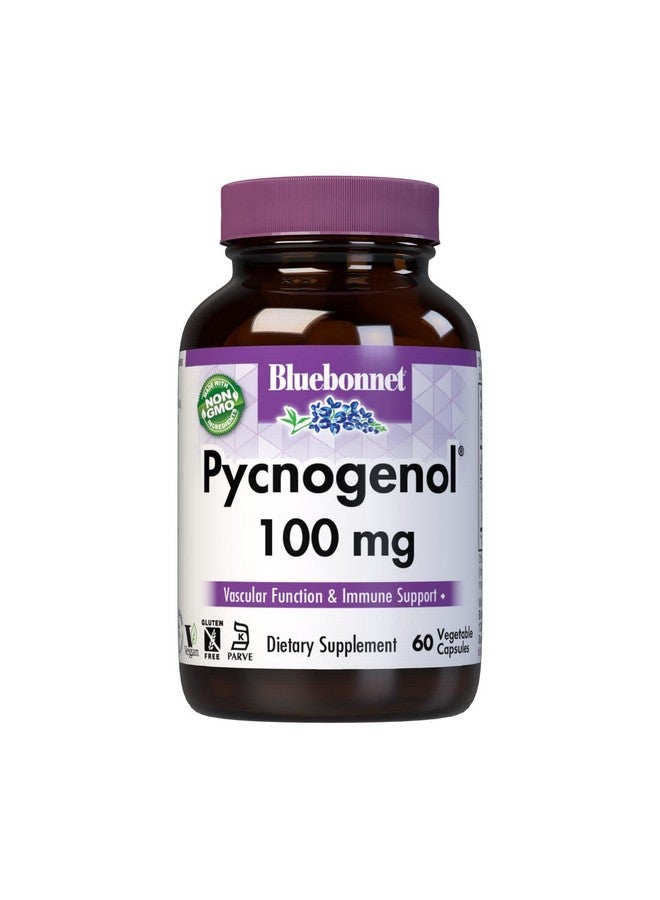 BlueBonnet Pycnogenol Vegetarian Capsules, 100 mg, 60 Count (743715008366) - Image 1