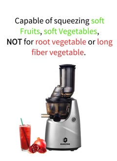 GearZone Slow Masticating Juicer, Cold Press Juicer Machines-Silver Color  - Image 5
