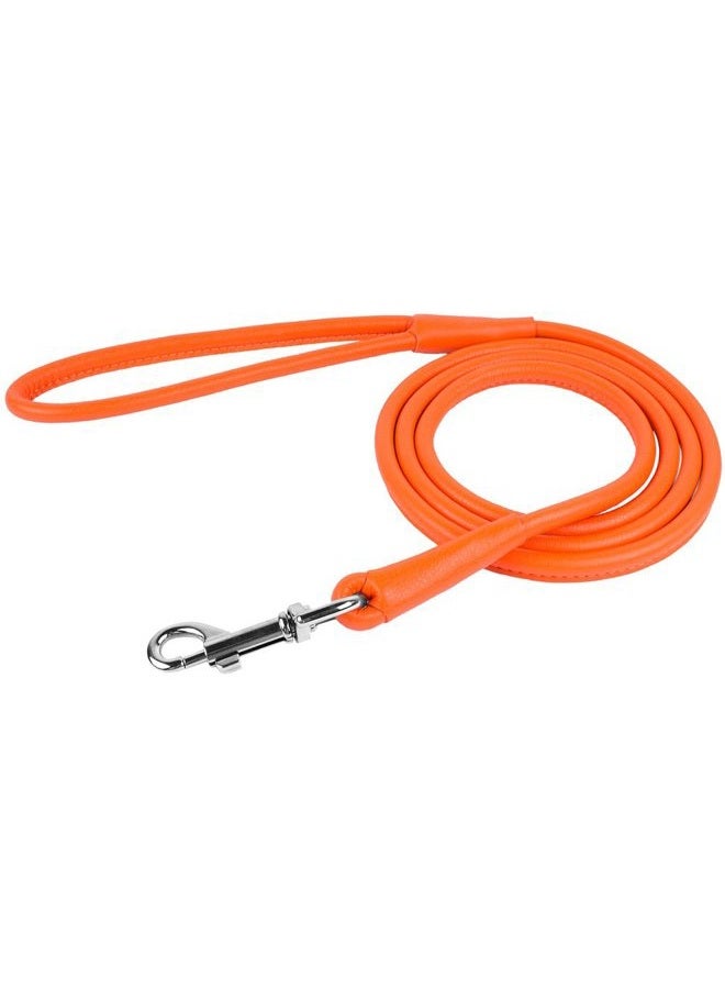 CollarDirect Rolled Leather Dog Leash 4ft, Soft Padded Training Leather Dog Lead 6ft, Puppy Leash Rolled Leather Small Medium Large Black Blue Red Orange Green Pink White (Pink, Size XL 6ft) - Image 5