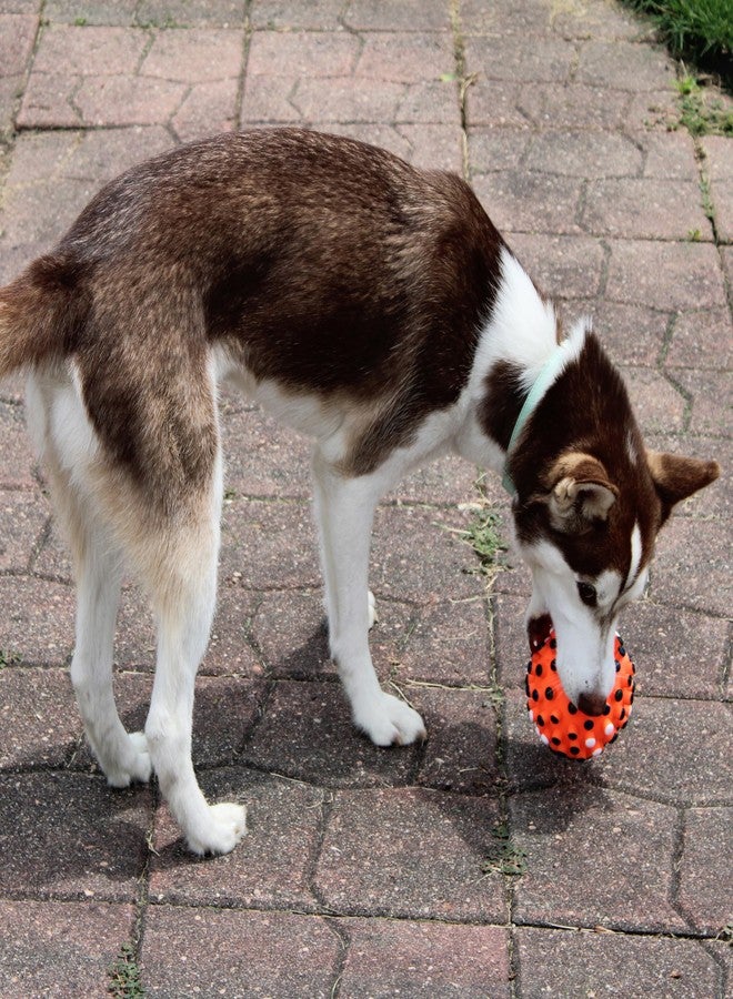 SPOT Vinyl Gumdrop Ball Dog Toy with Squeaker - Colorful and Interactive Dog Chew Toy, Floats in Water, Made from Durable, Non-Toxic Natural Rubber, Great for Dogs and Puppies, 5in, Assorted Colors - Image 4