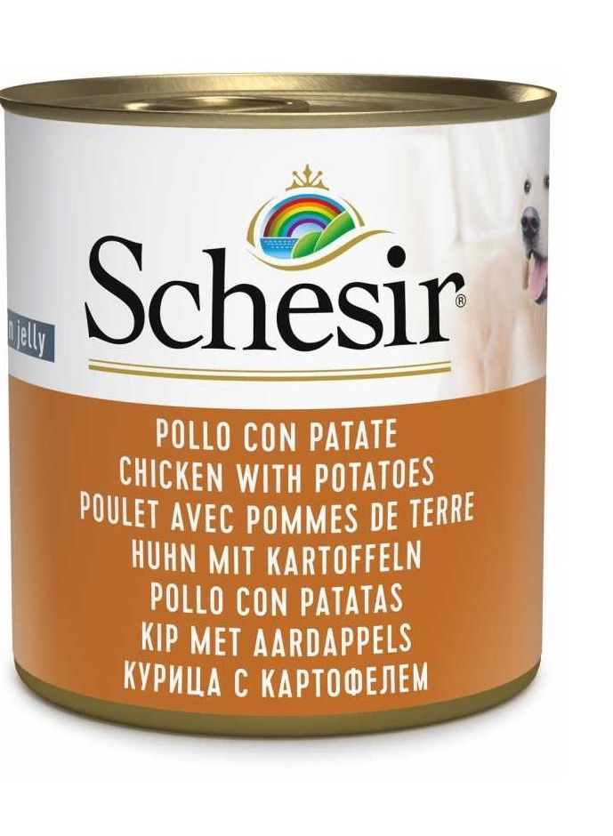 Schesir Dog Wet Food Chicken With Potatoes - Image 1