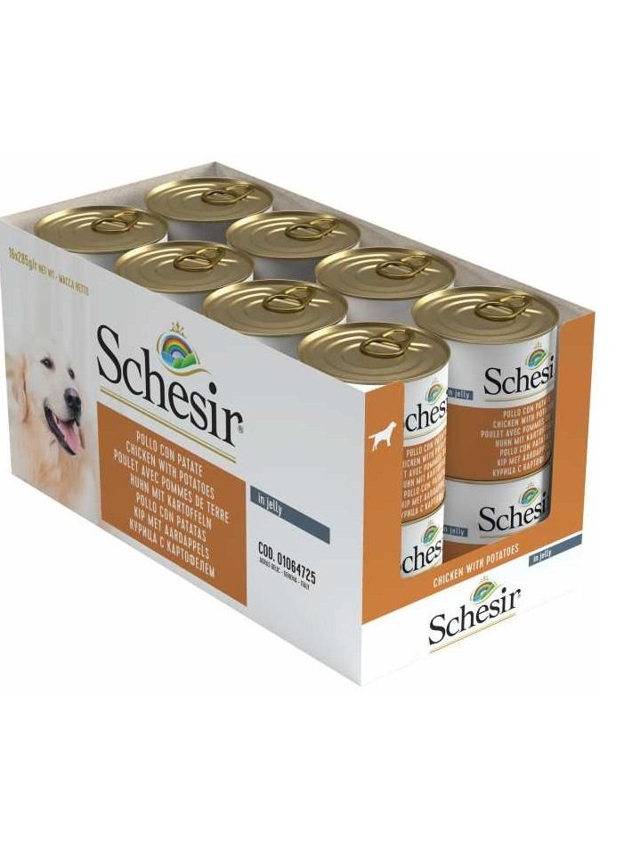 Schesir Dog Wet Food Chicken With Potatoes - Image 2