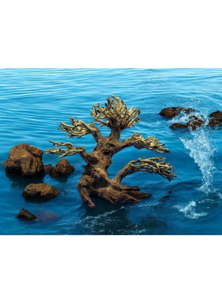 نو برانديد ديكور خشب متحجر من الخشب البرازيلي عالي الجودة - قطعة فريدة - Image 2