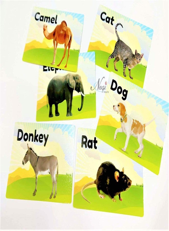 Negi Animal Flashcards for Kids - Image 3