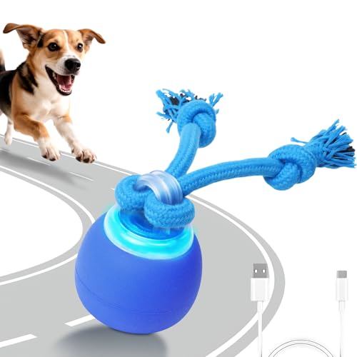 BENTOPAL Interactive Dog Toys Touch Activated Bouncing Jumping Dog Ball with Rope Squeaky Doggie Toys to Keep Them Busy - Image 1