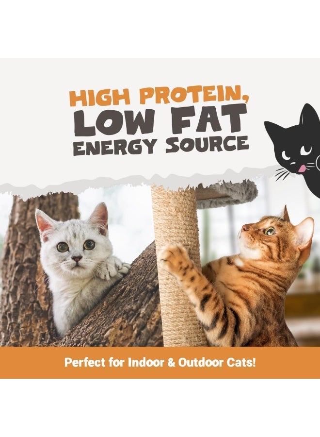 Pets Purest Cat Treats, 100% Chicken Freeze Dried Cat Treats, High Protein - Low Fat Treat for Cats & Kittens 50g - Image 5