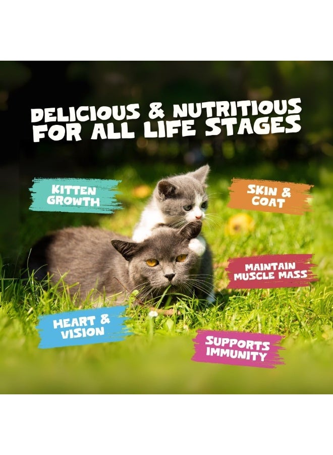 Pets Purest Cat Treats, 100% Chicken Freeze Dried Cat Treats, High Protein - Low Fat Treat for Cats & Kittens 50g - Image 4