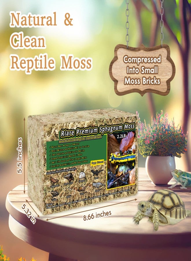 Riare 2.2LB Natural Sphagnum Moss for Reptiles- 50QT Reptile Substrate Moss for Terrarium, Frogs Snake Bedding for Leopard Gecko Turtle Anoles Salamanders Ball Python Snake - Image 2