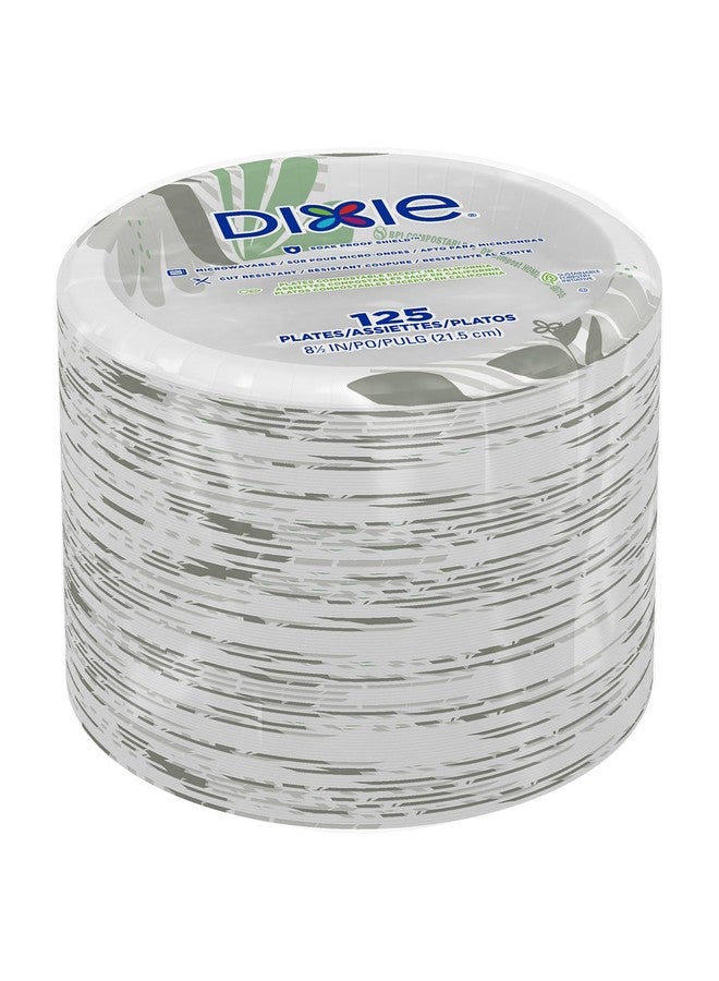 Dixie Pathways Paper Plates - Image 5