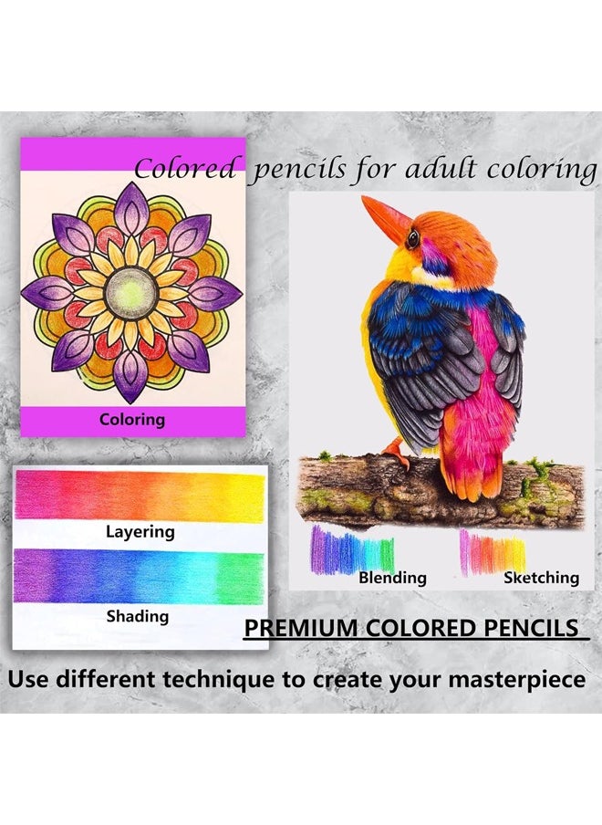 KALOUR - KALOUR Colored Pencils for Adult Coloring Book,72 Colors Set,Artists Soft Core with Vibrant Color,Ideal for Drawing Sketching Shading,Coloring Pencils for Adults Beginners kids - Image 1
