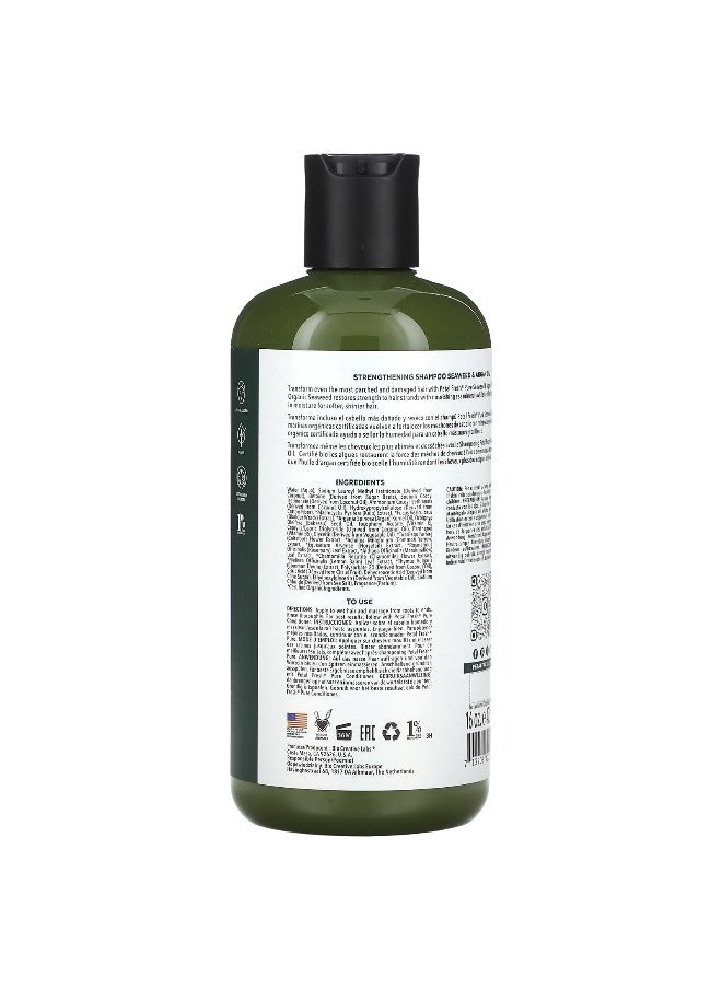 Petal fresh Petal Fresh, Strengthening Shampoo, Seaweed & Argan Oil, 16 fl oz (475 ml)  - Image 2