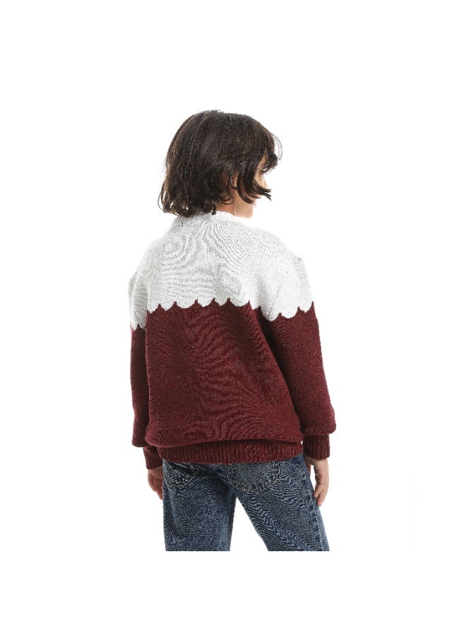 سيزار بلوفر صوف اولادي بتصميم صورة دولفين - Image 4