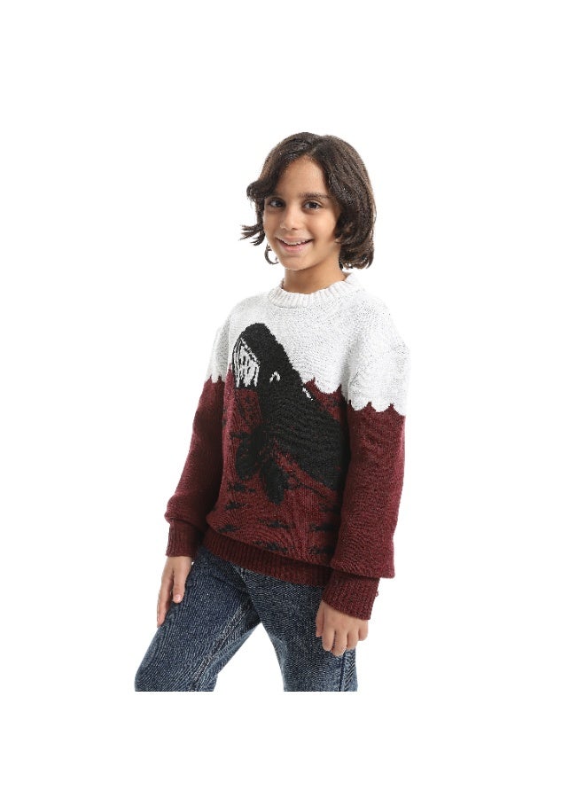 سيزار بلوفر صوف اولادي بتصميم صورة دولفين - Image 1