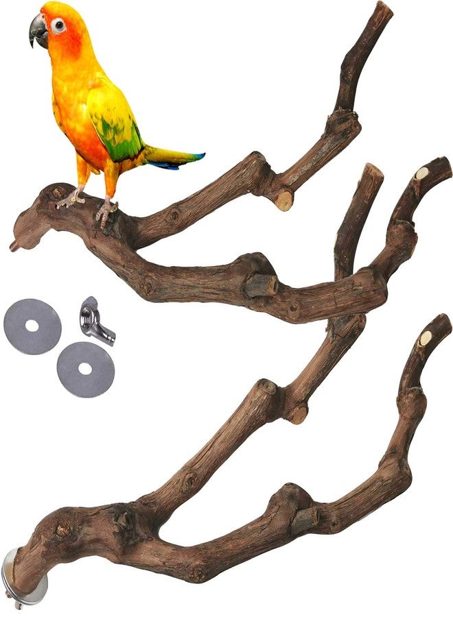 كاثسون مجثم طبيعي للببغاء من كاتسون، عصا عنب بري، شوكة طحن مخالب، أغصان للتسلق، لعبة مضغ، ملحقات قفص للببغاوات الصغيرة، طيور البادجي، الكوكاتيل، طيور الحب، قطعتان - Image 1