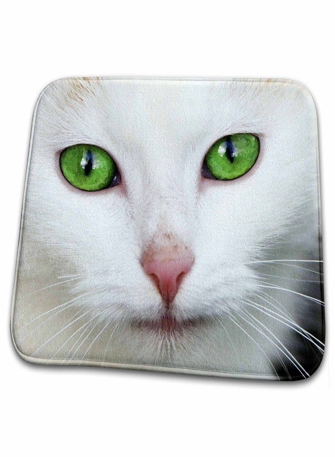 3DROSE Dish Drying Mat - Kitty white, cat, pet, animal Cats - Image 1