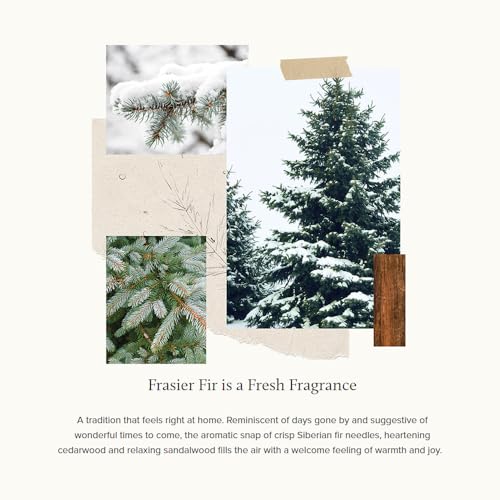 Thymes Frasier Fir Pine Needle Candle – Holiday Candles for Home Scented with Notes of Crisp Siberian Fir, Cedarwood & Sandalwood – Christmas Decor – Christmas Gifts for Women & Men (2 oz) - Image 3